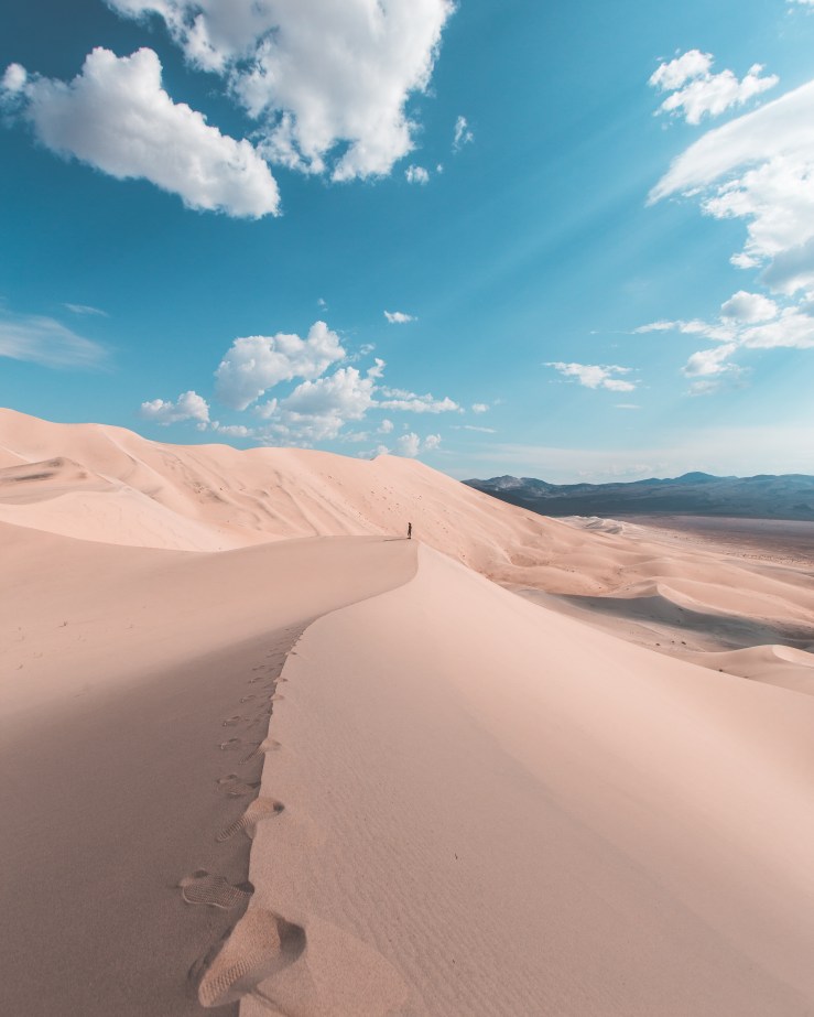 This image has an empty alt attribute; its file name is 9f2783ec-a544-4cd1-b101-cac08cdf1e64.jpg